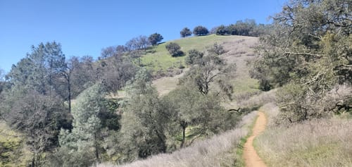 Cronan Ranch Regional Trails Park Best 10 Trails In Cronan Ranch Regional Trails Park | Alltrails