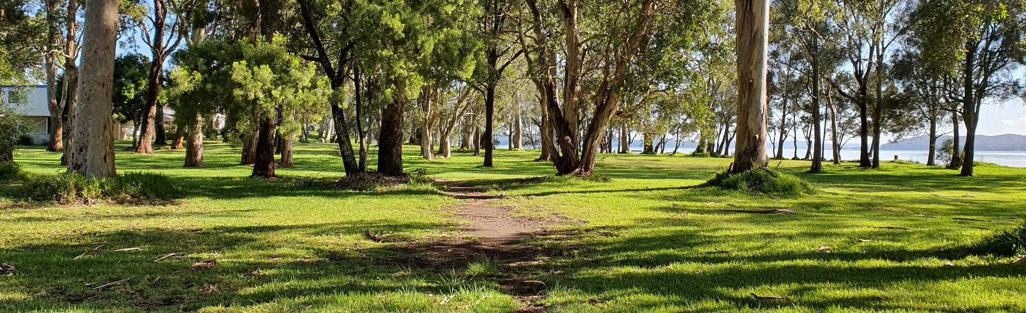 Gwandalan Foreshore, New South Wales, Australia 10 Reviews, Map AllTrails