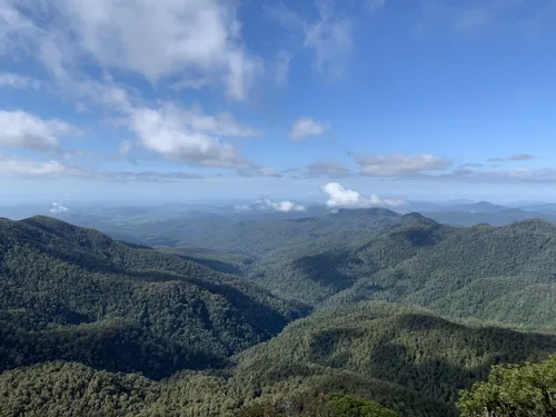 10 Best Hikes and Trails in Barrington Tops National Park | AllTrails