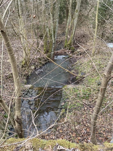 Homberger Weg