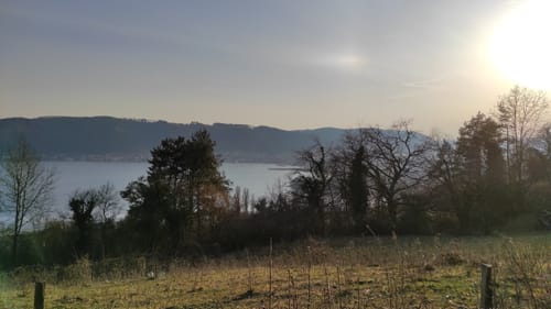 MTB Tour: Von Nenzingen an den Bodensee
