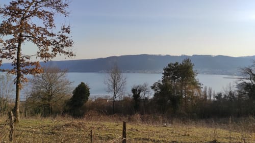 MTB Tour: Von Nenzingen an den Bodensee