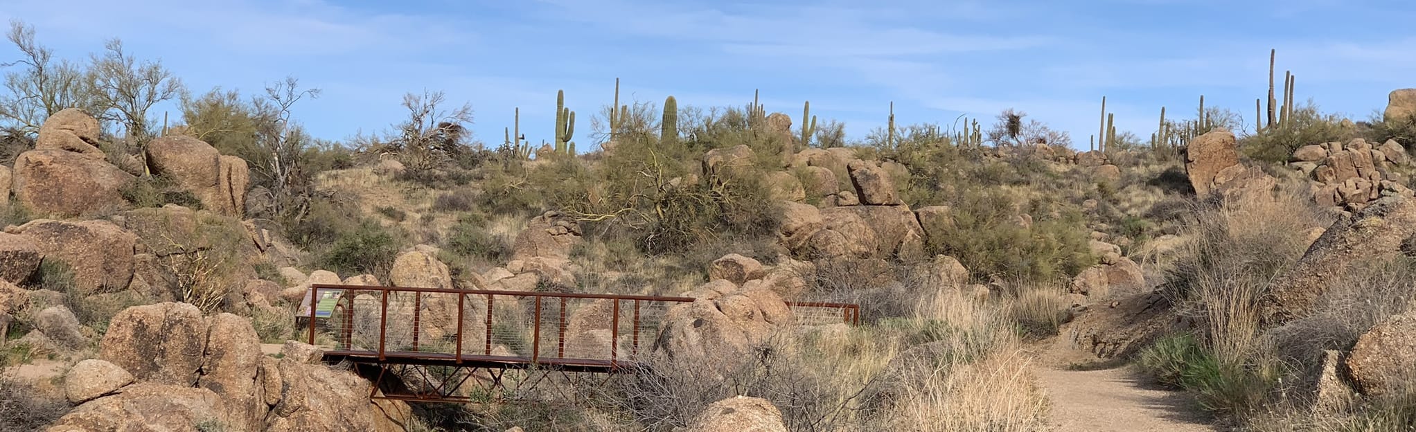 Jane Rau Brown's Canyon Trail, Arizona - 111 Reviews, Map | AllTrails