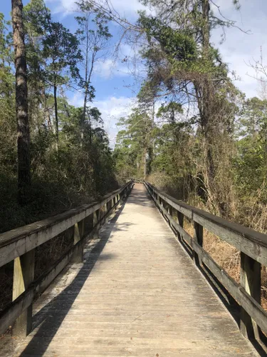 Best Hikes and Trails in Lake Waccamaw State Park | AllTrails