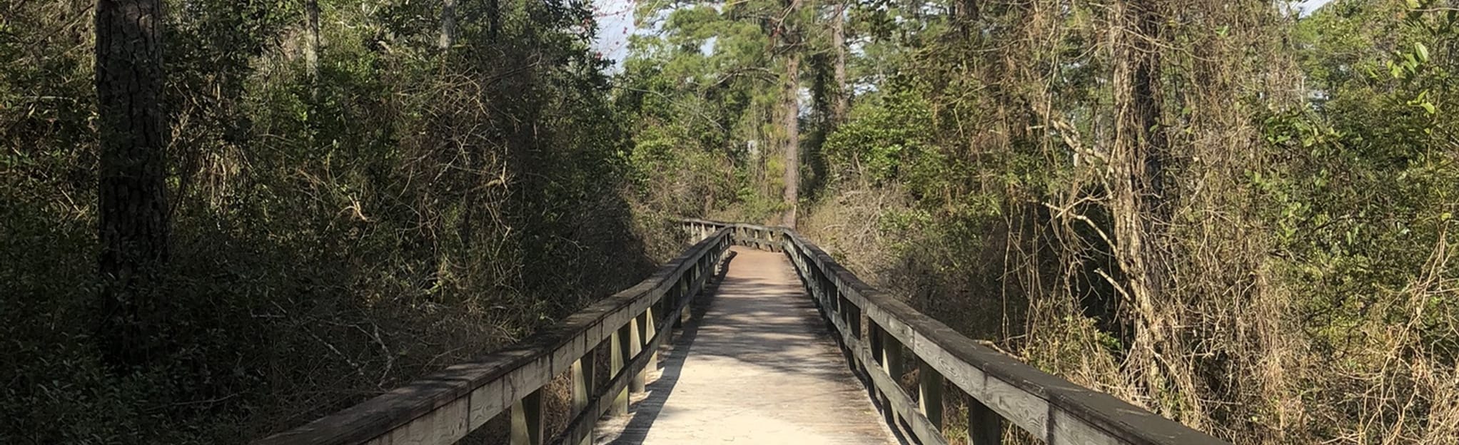 Sand Ridge Nature Trail, North Carolina 10 Reviews, Map AllTrails