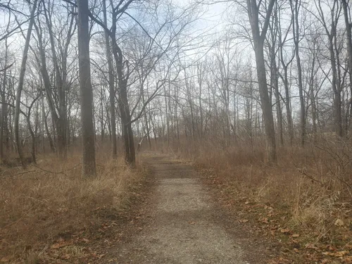 Historic Charm: 5 Beautiful Hiking Trails in Greenfield – Indiana