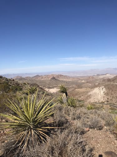 Photos of Yucca, Arizona trails | AllTrails