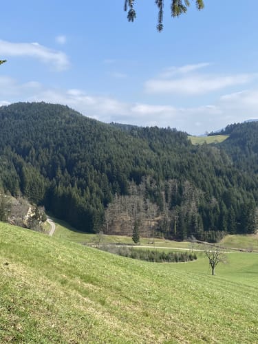 Hahn-und-Henne-Runde (Genießerpfad)