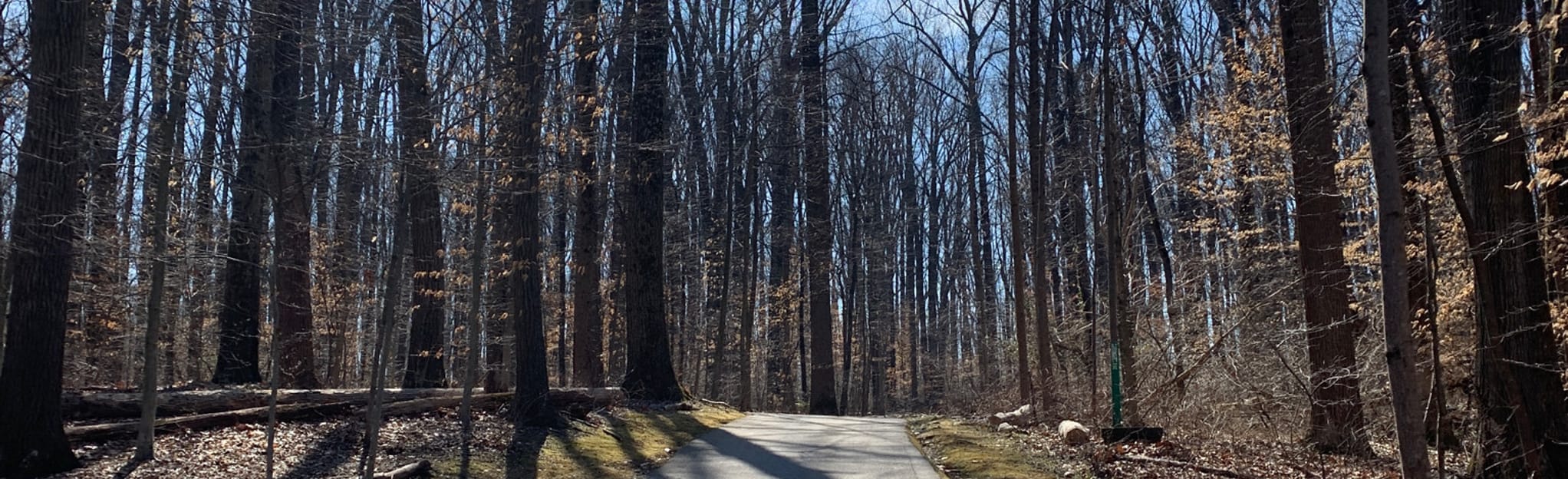 Cedar Lane Trail Loop 75 Reviews, Map Maryland AllTrails