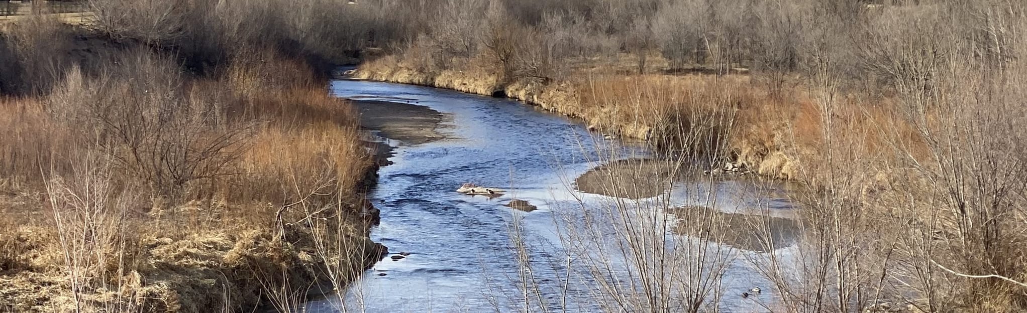 Jack Quinns Running Club 5k, Colorado 83 Reviews, Map AllTrails