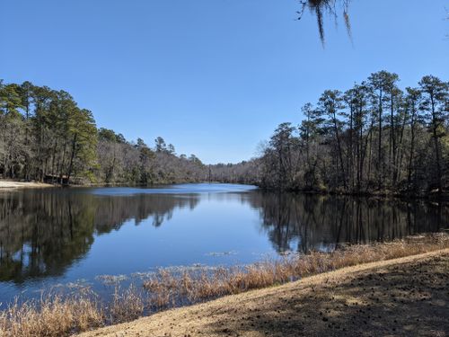 Best Hikes and Trails in Poinsett State Park | AllTrails