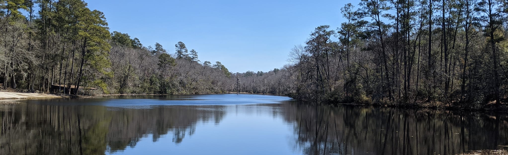 Coquina Trail 264 Reviews, 476 Photos, Map South Carolina AllTrails