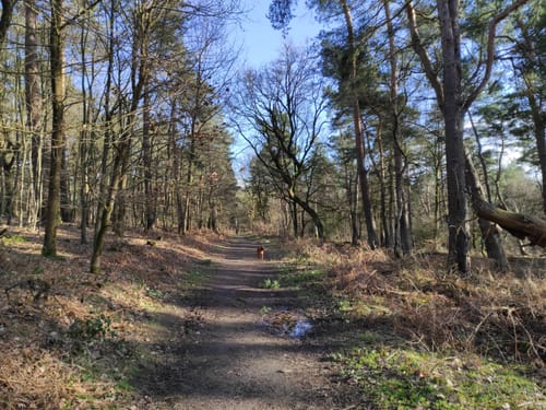 Landstreifer (Haard an der Grenze)