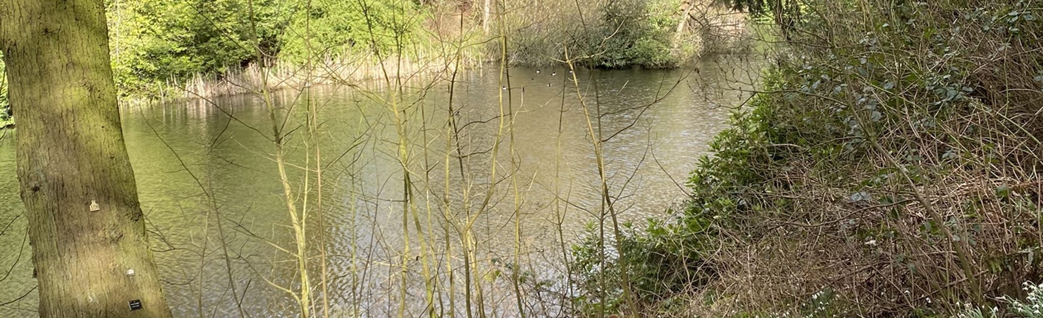 Smeaton Lake Woods, East Lothian, Scotland 2 Reviews, Map AllTrails