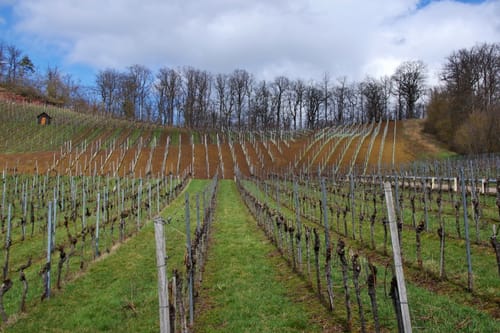 Von Diefenbach zum Aussichtspunkt König