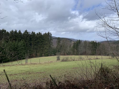 Adenau - Hirzenstein - Breitscheid - Kreuzweg