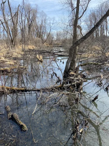 Best 10 Hiking Trails in Point Pelee National Park | AllTrails