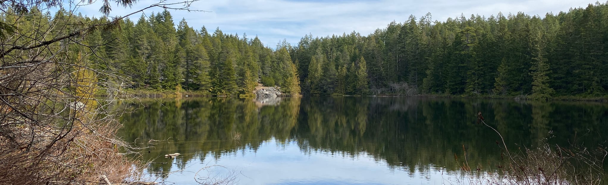 Heart Lake Loop 472 Reviews, Map British Columbia, Canada AllTrails