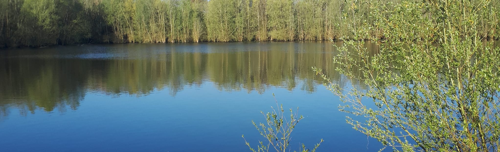 AllTrails Le tour du lac du Verdon 47 Reviews, Map MaineetLoire