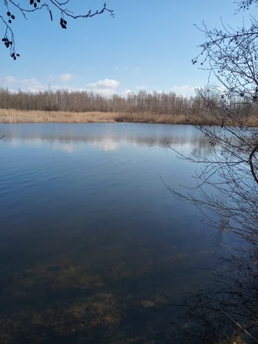 Um den Zwenkauer und Cospudener See