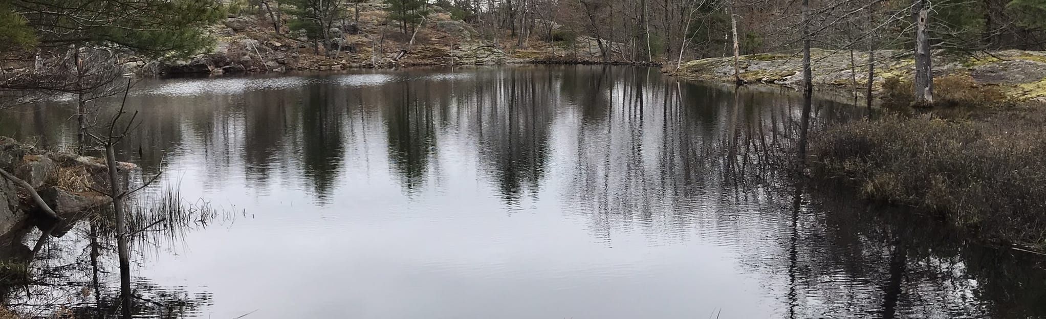 Hansa Lake and Cloudy Lake 9 Reviews, Map Ontario, Canada AllTrails