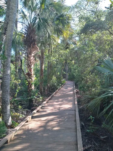 Best Walking Trails in North Fort Myers | AllTrails