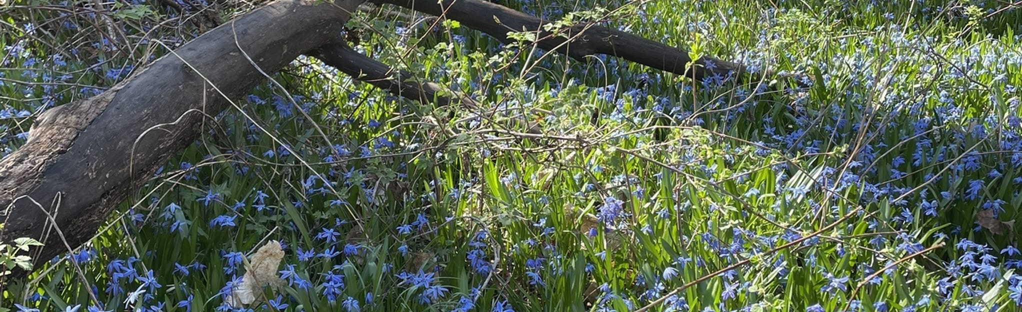 Waterworks Park Loop 31 Reviews, Map Ontario, Canada AllTrails