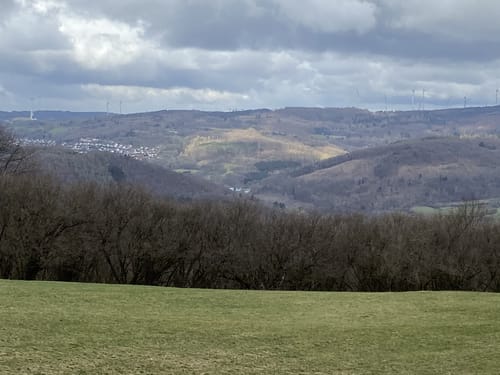 Heiligenberg P8 (Premiumwanderweg)