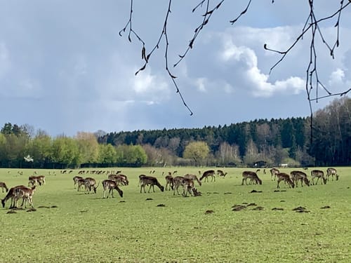 Um den Wildpark Poing