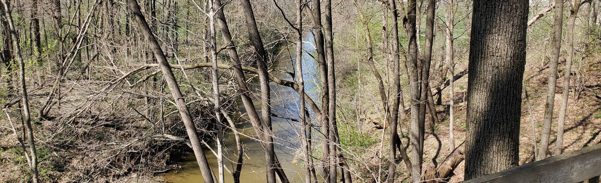 Blue River Trail 83 Reviews, Map Indiana AllTrails