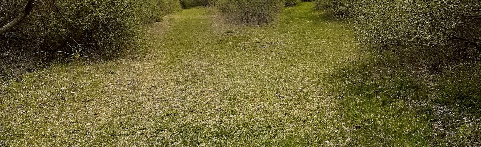 Tapeworm Trail 27 Reviews, Map Pennsylvania AllTrails