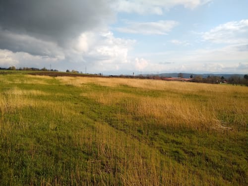 Grafing nach Aßling
