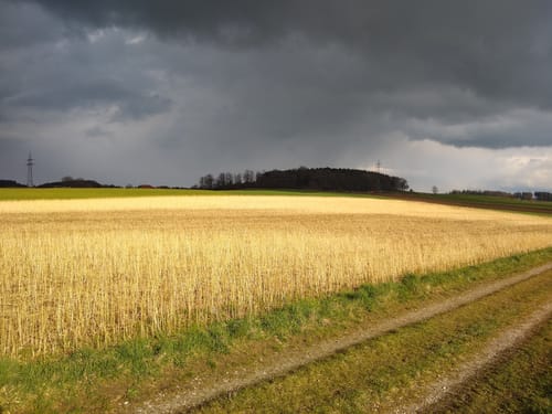 Grafing nach Aßling
