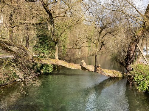 Ulm - Blautopf