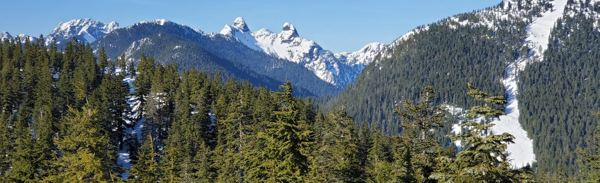 Black Mountain Plateau Winter Trail, British Columbia, Canada 414