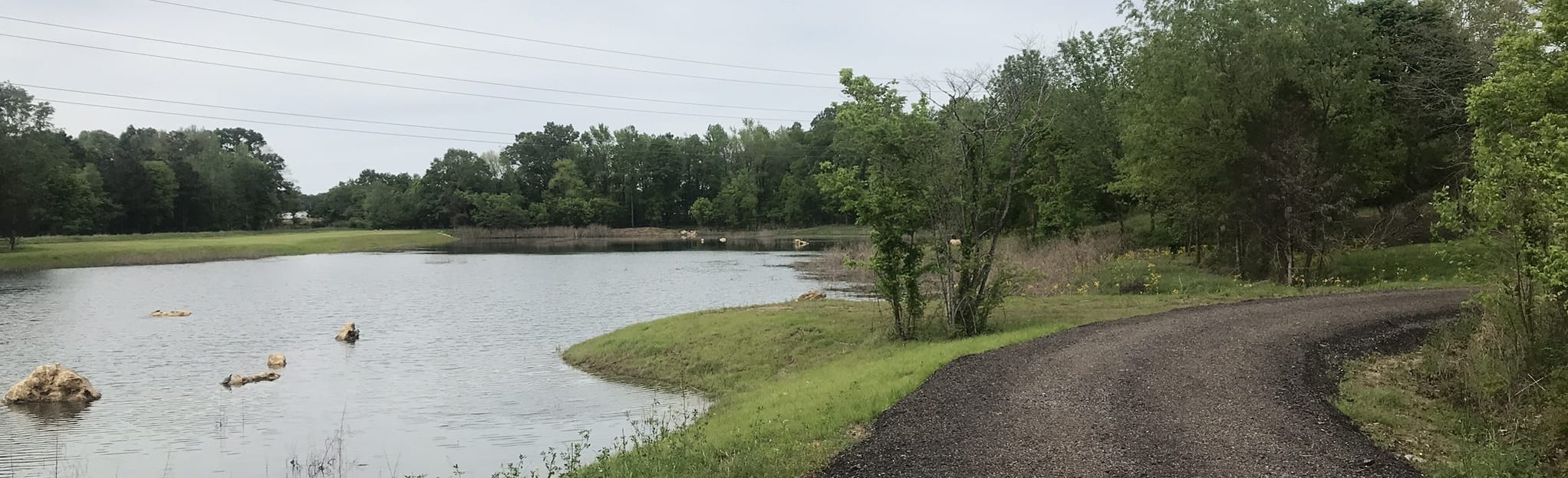 Brandon Quarry Trails, Mississippi 406 Reviews, Map AllTrails