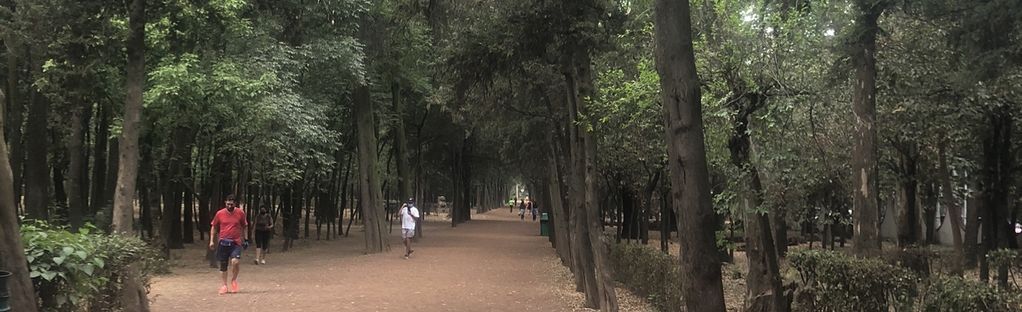 Viveros de Coyoacán - Mexico City, Mexico | AllTrails