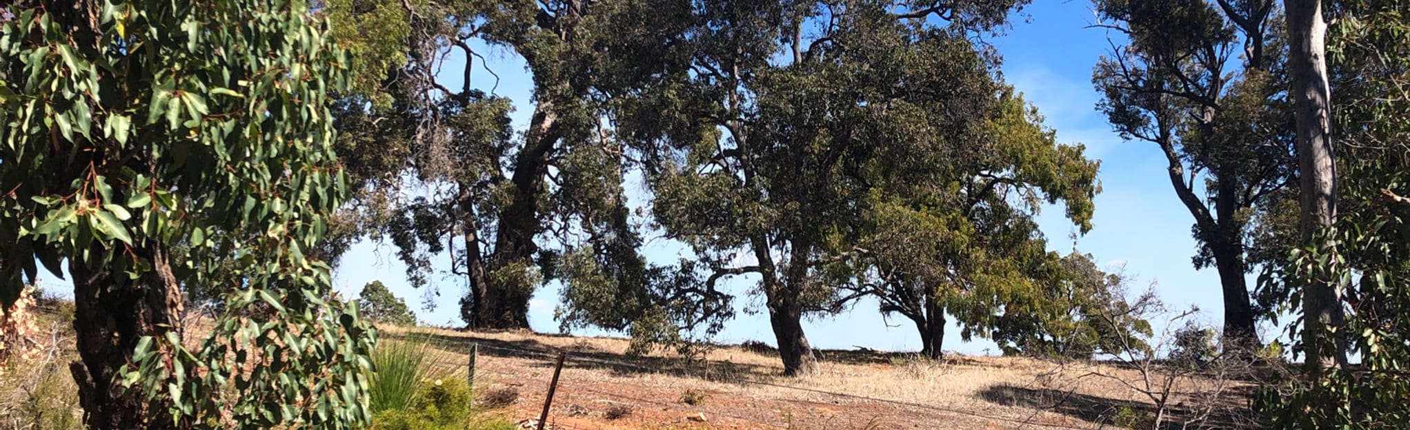 Jarrahdale Bridle Trail, Western Australia, Australia 5 Reviews, Map