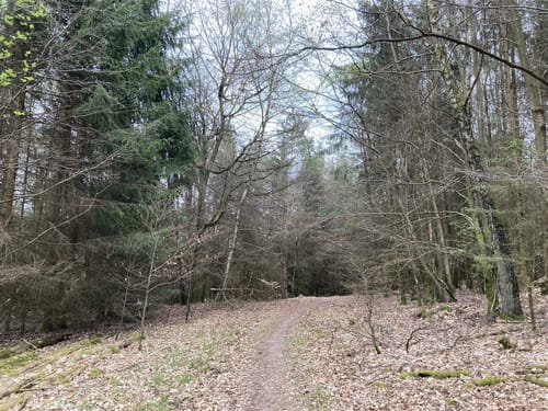 Schmetterlingspfad