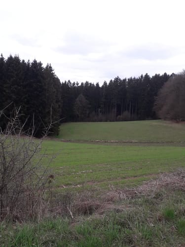 Lauperath - Waxweiler (Naturpark Südeifel Wanderweg Nr. 86)