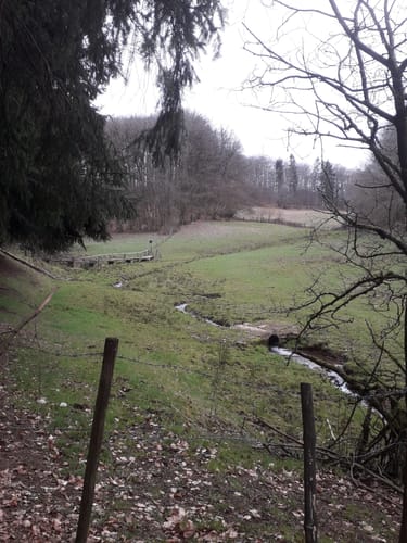 Lauperath - Waxweiler (Naturpark Südeifel Wanderweg Nr. 86)
