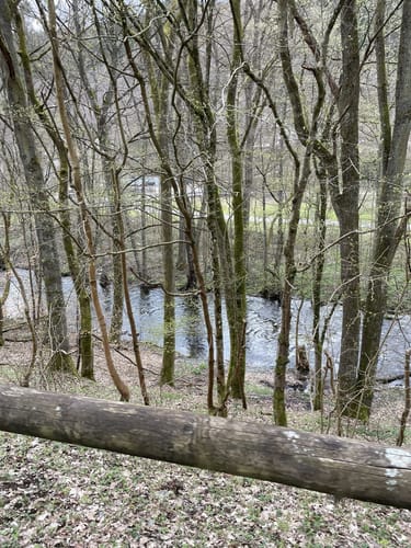 Entlang der Ruwer ab Sommerau