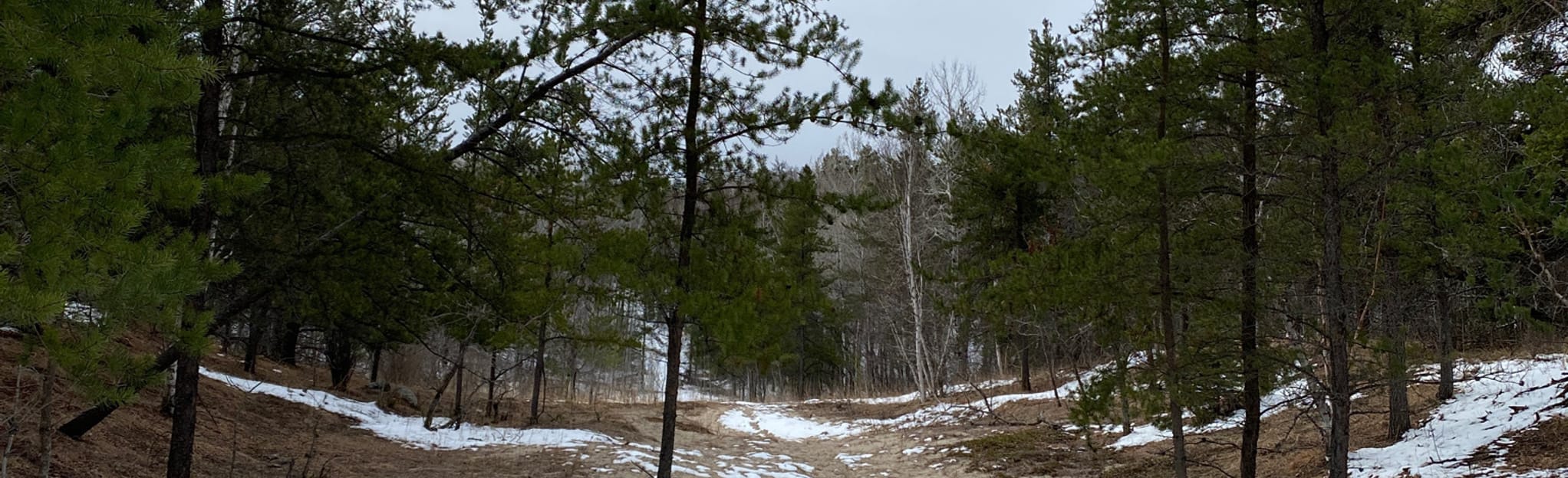 Sandilands Yellow Trail, 8 Fotos Manitoba, Kanada AllTrails