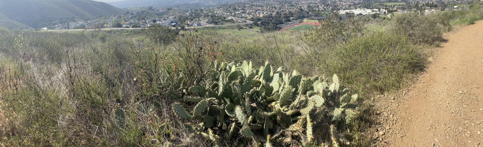 Nighthawk Trail to Black Mountain Summit 2095 Reviews, Map