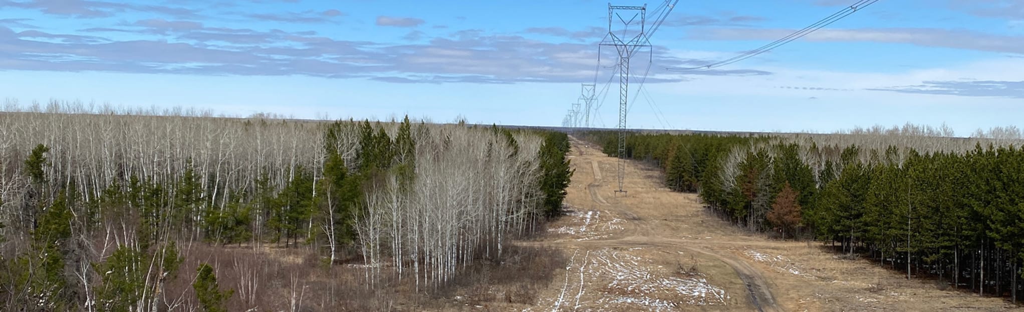 Sandilands Red Trail 14 Reviews, Map Manitoba, Canada AllTrails