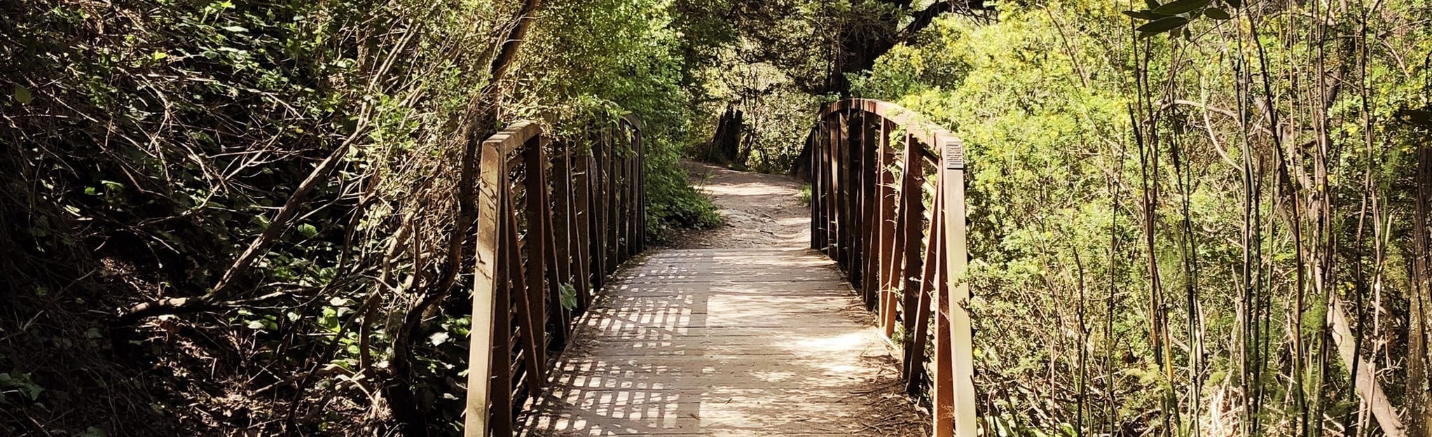 Bridgeview Trail to Old Cañon, California - 673 Reviews, Map | AllTrails