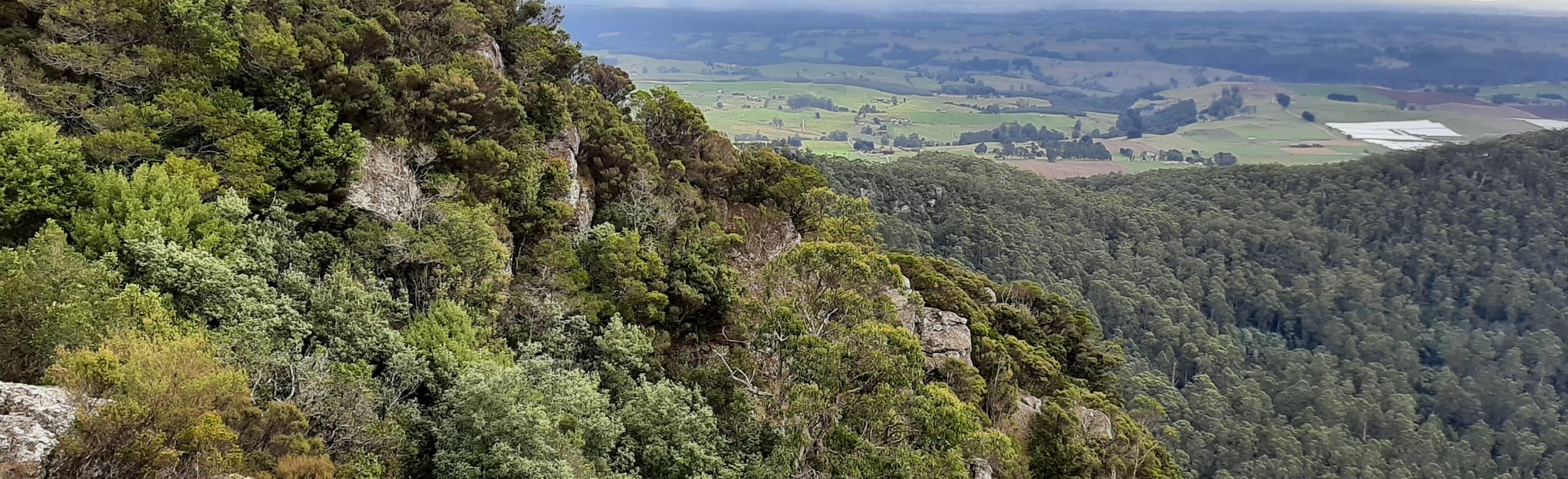 Mt Duncan via Ironcliffe Road 56 foto's Tasmanië, Australië AllTrails