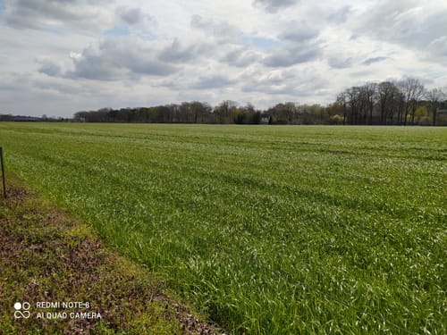 Hardter Wald: Rundweg A1