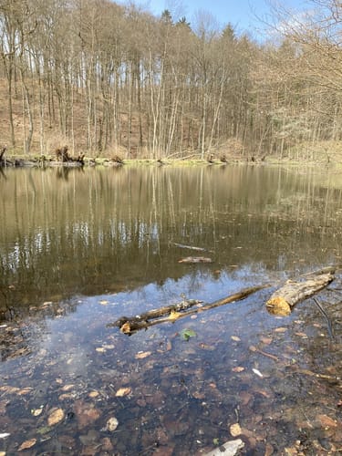 Wiesbaden nach Michelbach über Hohenstein