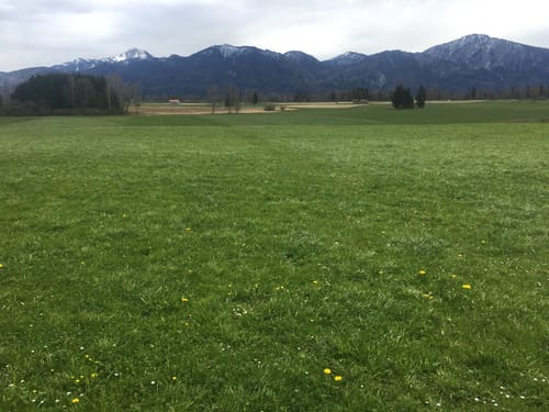 Nandesbuch - Murnau